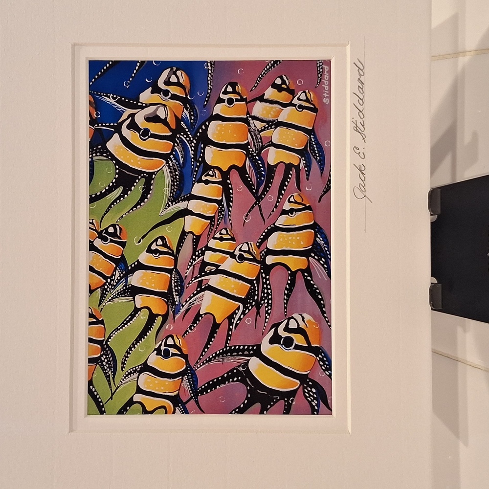 Clown Fishes Art Print by Jack E. Stiddard 5x7/8x10 Mat        ✨️PRICE FIRM✨️